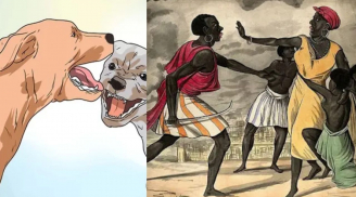 “Đừng gọi chó khi no”, nửa vế sau các cụ nhắc chẳng thừa