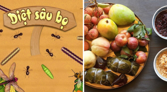 Tại sao Tết Đoan Ngọ còn gọi là ngày diệt sâu bọ?