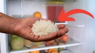 Bất ngờ với việc đặt 1 bát muối vào trong tủ lạnh, mang lại nhiều công dụng to lớn