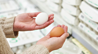 Vì sao ở nước ngoài trứng nâu đắt hơn trứng trắng? Ăn trứng nào bổ hơn?