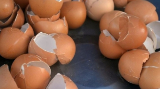 Vỏ trứng nấu nướng xong đừng vội vứt đi, cứ rửa rồi làm theo cách này, tiết kiệm tiền triệu mỗi năm