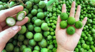 Mẹo bảo quản sấu tươi được lâu, để quanh năm vẫn ngon