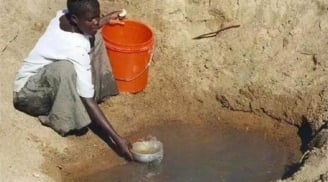 Vì sao người Châu Phi thà chết đói cũng không làm ruộng, khát cũng không đào giếng?