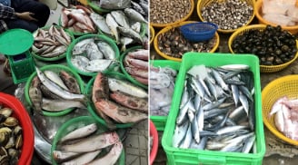 5 loại cá 'bẩn' nhất chợ, tuyệt đối không nên mua