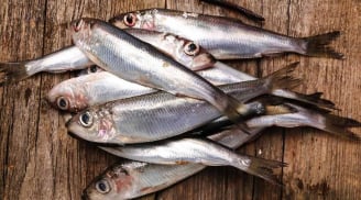 3 loại cá bổ dưỡng ngang nhân sâm, tổ yến: Đi chợ nhìn thấy đừng tiếc tiền mua