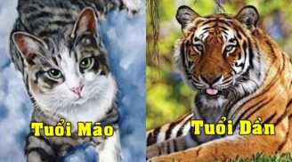 Đúng hôm nay 1/7: 3 con giáp được cát tinh vây quanh, quý nhân hỗ trợ, tiền nong rủng rỉnh