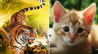 Càng già càng tụ lộc: 3 tuổi phú quý đến muộn, từ tuổi 40 của nả chất đầy nhà, tiền tình rực rỡ