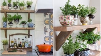 Trong bếp trồng các loại rau, thảo mộc này, gia đình sẽ luôn có không khí ấm cúng, hòa thuận và gắn kết