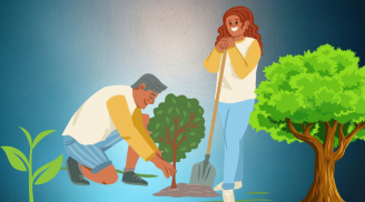 3 loại cây nhiều người thích trồng làm cảnh nhưng lại không tốt về phong thủy