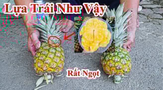 Bí quyết chọn mua dứa mật thơm ngon, chảy mật vàng ươm