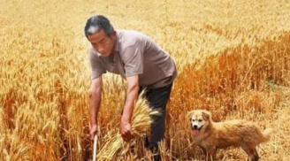 'Đàn ông sợ tháng tám, đàn bà sợ tháng mười hai âm lịch', ý nghĩa thực sự là thế nào?