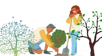 3 vị trí trong nhà đặt cây xanh giúp đuổi tà trừ sát khí mang lại may mắn, giàu có, nhà bạn có chưa?