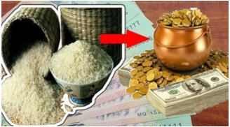 Canh ba âm thầm đặt 3 thứ này dưới đáy thùng gạo: Càng để càng giàu ai không biết quá phí