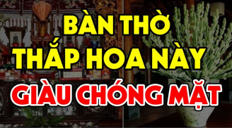 Cúng Rằm, mùng 1 đừng đặt hoa cúc lên bàn thờ mãi: 3 loại này nghe tên đã giàu, đừng bỏ qua