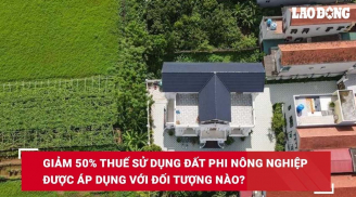 Đối tượng được giảm 50% thuế sử dụng đất phi nông nghiệp: Người dân cần biết