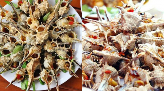 Loài ốc biển gai góc từng bị bỏ đi nay thành đặc sản ‘hot hit’, dân sành ăn săn lùng với giá 250.000 đồng/kg