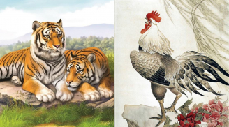 Từ 5/7 đến 15/7, 3 tuổi làm đâu thắng đó, giàu có bất chấp