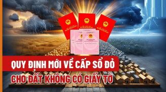 3 trường hợp đất không đủ giấy tờ vẫn được cấp sổ đỏ, là những trường hợp nào?