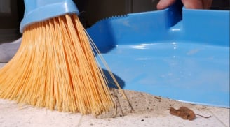 Mở cửa nhà nhìn thấy 3 thứ, gia đình nghèo khổ, khó ngóc đầu lên, đó là 3 thứ gì?