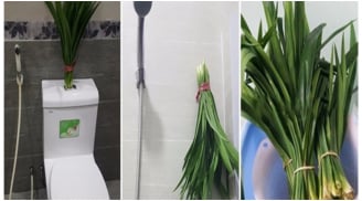 Thả thứ này vào nhà vệ sinh hết sạch mùi hôi
