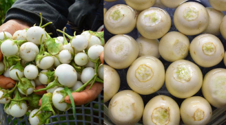 Người xưa có câu '1 trái cà bằng 3 chén thuốc': Ăn cà có độc không?