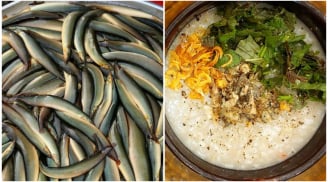 Có 1 loại cá được mệnh danh là sâm nước: Đi chợ nhìn thấy đừng tiếc tiền mua