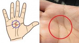 Tướng tay đàn ông tài giỏi, kiếm tiền cực dễ, chị em lấy được là may mắn