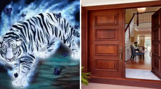 Tổ Tiên nói: 'Hổ trắng vào nhà, con cháu không ly cũng diệt', hổ trắng ở đây là gì?