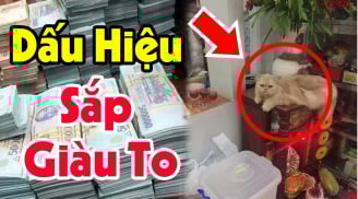 6 'điềm lành' mang tiền tài đến, bạn đã gặp được mấy lần?