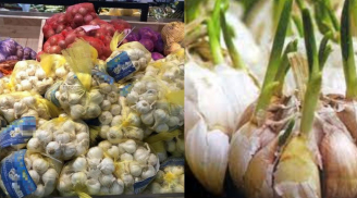 Hành tỏi trong siêu thị không mọc mầm nhưng về nhà lại nhanh lên mầm? Mách bạn cách bảo quản tỏi lâu mọc mầm