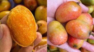 Loại quả dại xưa ‘lột xác’ thành đặc sản hot nhất mùa hè, dân tình săn lùng ráo riết