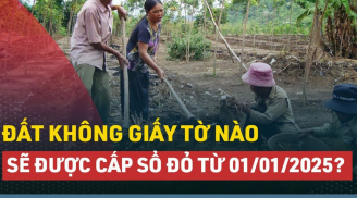 Kể từ năm 2025, những loại đất không giấy tờ này sẽ được cấp sổ đỏ: Người dân cần biết