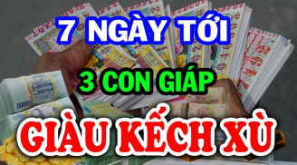 7 ngày tới đây: 2 tuổi Tiền-Tình rực rỡ, giàu sang chạm nóc, 1 tuổi mất tiền oan