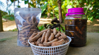 Loại quả xưa rụng đầy gốc, nay thành ‘của hiếm’ dân sành ăn lùng mua giá 150.000 đồng/kg