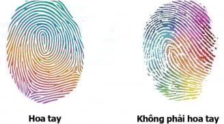 Đếm số hoa tay biết tương lai bạn thành Phượng Hoàng hay nghèo khổ