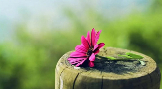 Người ''nghèo trước sướng sau'' sẽ có 3 đặc điểm này, tương lại vô cùng tốt