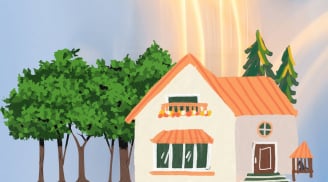 Người xưa đã dặn kỹ: Trồng cây âm trước cửa con cháu lụn bại, giàu có hóa hư không, nghĩa là sao?