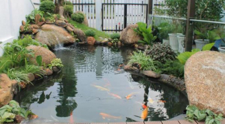 Trong nhà có 2 vật báu này, điều diệu kỳ sẽ đến với gia chủ