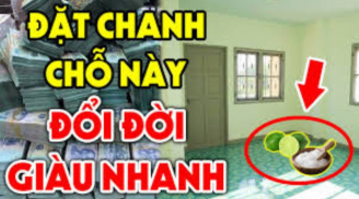 Đúng 0h đặt bát chanh muối đúng vị trí này, sau vài ngày bạn sẽ thấy điều bất ngờ xảy ra