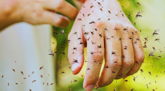 Mẹo đơn giản giúp giảm ngứa cực nhanh khi bị muỗi và côn trùng đốt