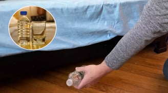 Vì sao sau khi nhận phòng khách sạn, phải ném một chai nước vào gầm giường?