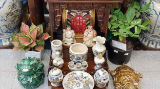 Tại sao trên bàn thờ Thần tài thường đặt cây thủy sinh?