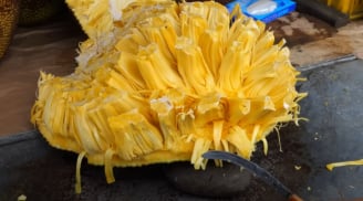 Nhìn đúng điểm này của quả mít, biết quả nào chín cây, ít xơ, ngọt đậm