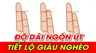 Nhìn độ dài ngón trỏ biết tương lai bạn thành Phượng Hoàng hay nghèo khổ, chuẩn hơn nhìn mặt