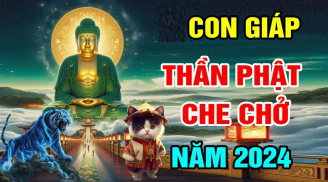 4 tuổi là 'con cưng' của Phật Tổ, cứ sống hiền đức tiền tài tự tìm đến tận nơi