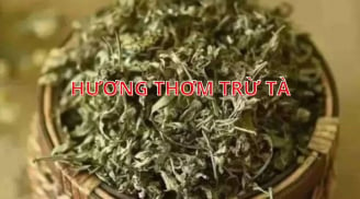 Tháng 7 âm lịch, người xưa nói mang hương thơm này vào nhà giúp gia chủ bình an may mắn, yên tâm làm giàu