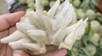 Loại quả 'mở mắt' trước ít ai ''ngó' nay về phố giá đắt đỏ vẫn có người mua