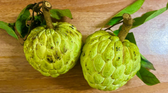 Mẹo chọn na chín cây tự nhiên, nhiều thịt, ngọt lịm