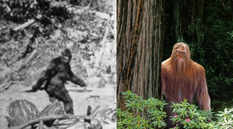 Nhóm thanh niên hãi hùng khi chạm trán 'quái vật' Bigfoot: Tiết lộ thêm đặc điểm đáng sợ