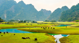 Khám phá những 'Miền thảo nguyên xanh' tuyệt đẹp ở Việt Nam, du khách sẽ quyến luyến ngay từ cái nhìn đầu tiên